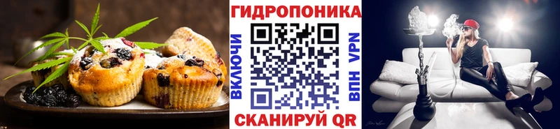 Canna-Cookies марихуана  Грозный 