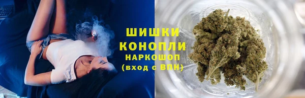 молекула духа Горняк