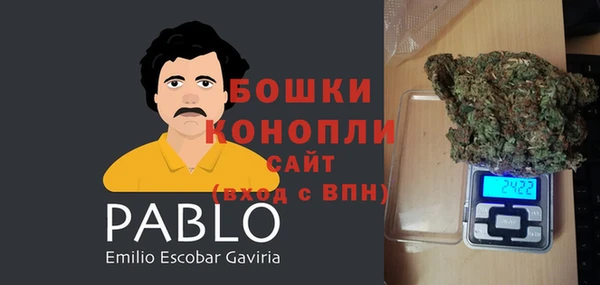 молекула духа Горняк