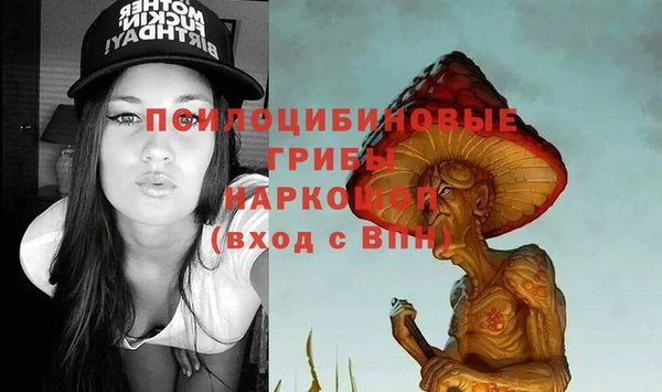 дживик Горнозаводск
