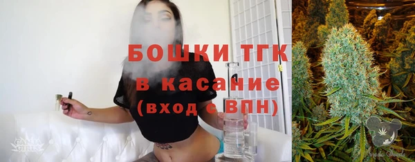 дживик Горнозаводск