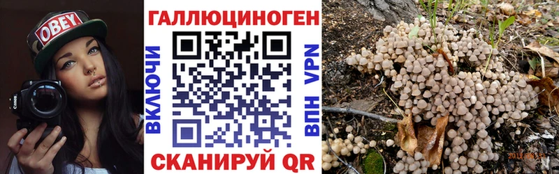 где найти наркотики  Грозный  дарк нет официальный сайт  Псилоцибиновые грибы GOLDEN TEACHER 